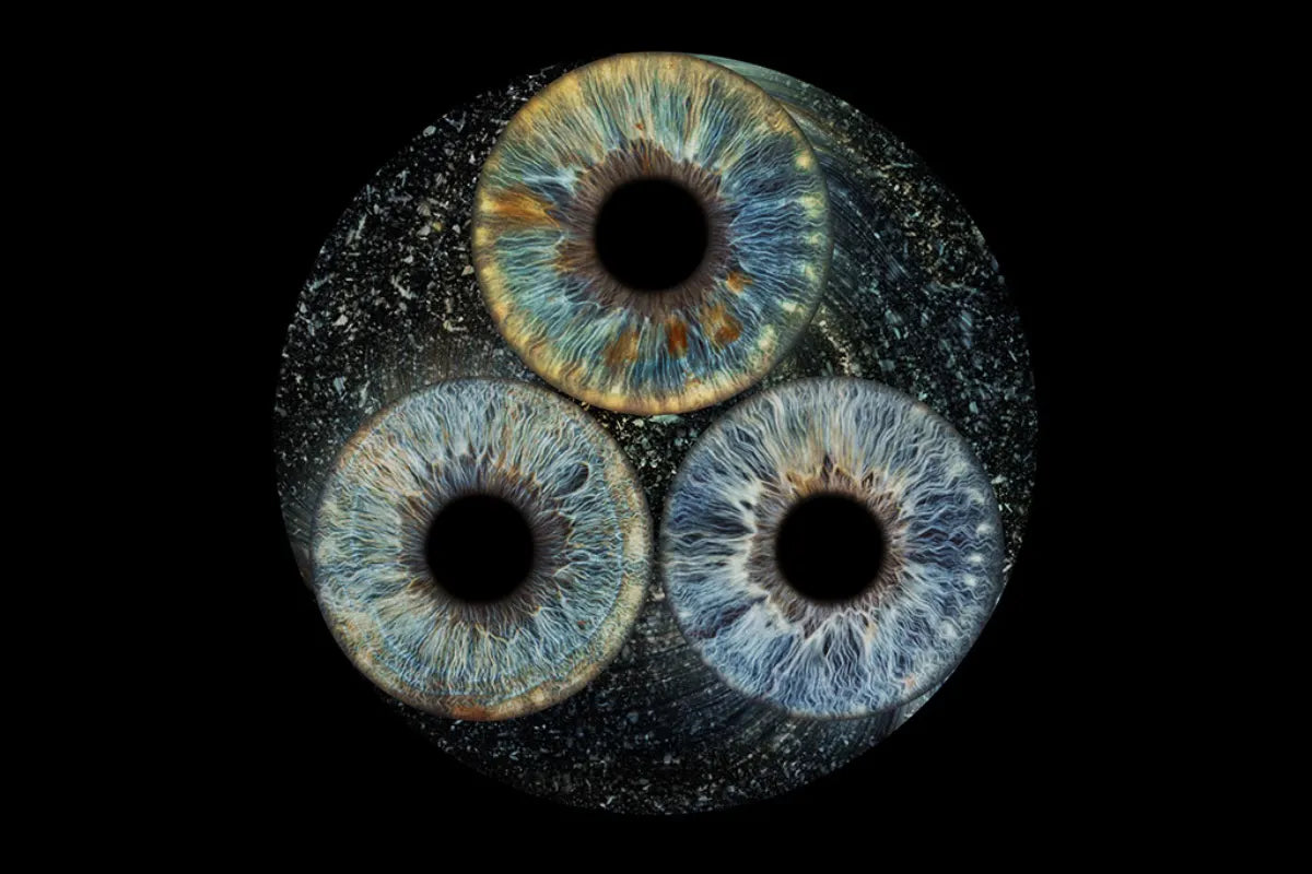 Yin Yang – pavyzdys 2