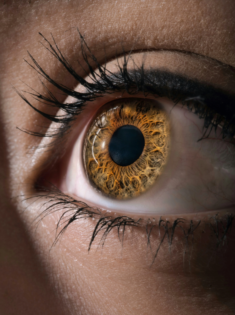 Iridodiagnostika 2 asmenims