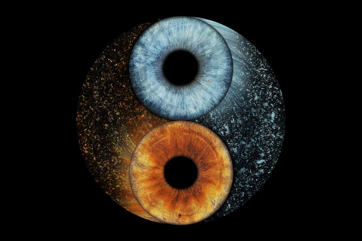 Yin Yang – pavyzdys 1